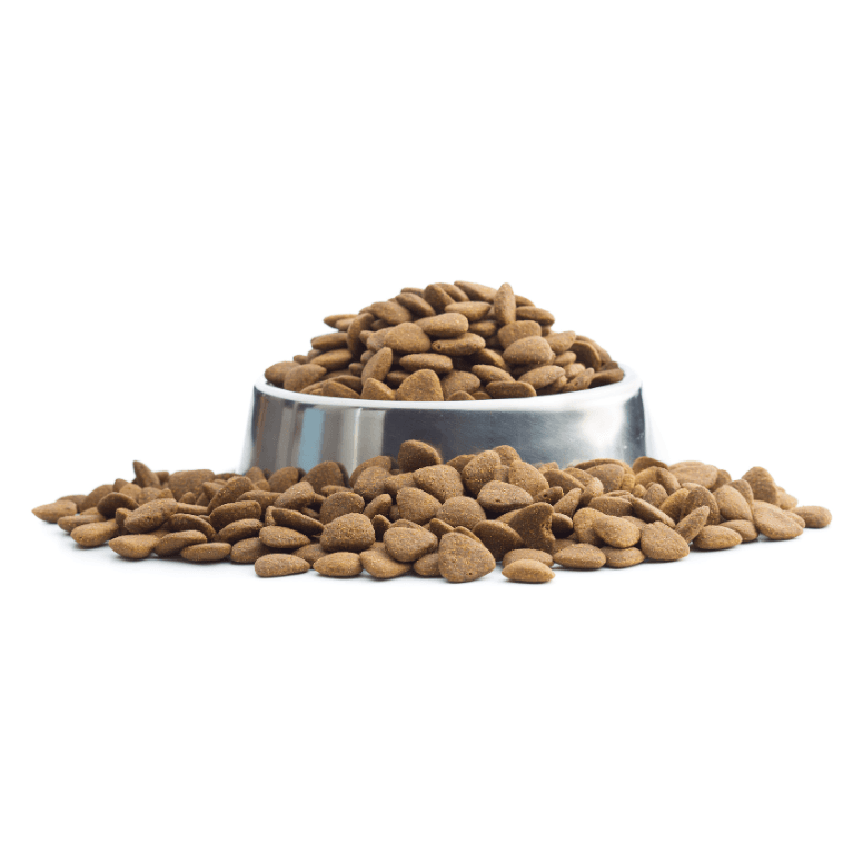 briketi s tuno za občutljive pse