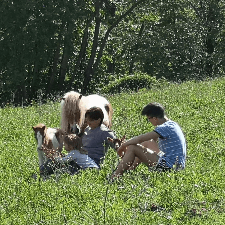odnos med človekom in živalmi na ranču

