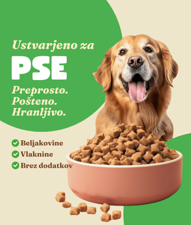 ustvarjeno za pse