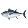 tuna atlantic premil za občutljive pse
