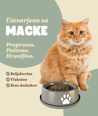 ustvarjeno za mačke