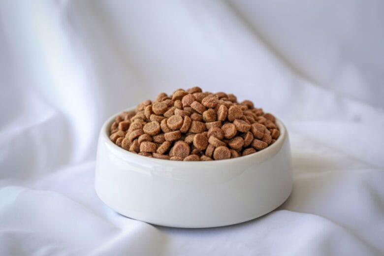 Pasja hrana za občutljivo prebavo