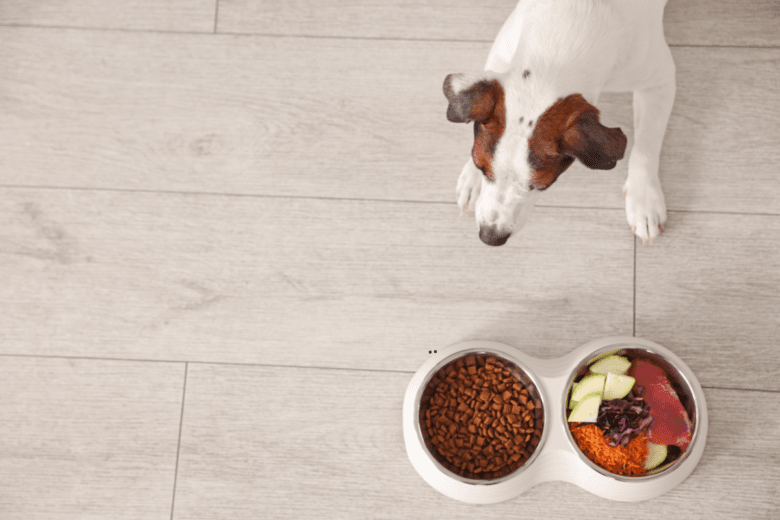 dodatki v pasji hrani v sestavi pasje hrane vitamini minerali