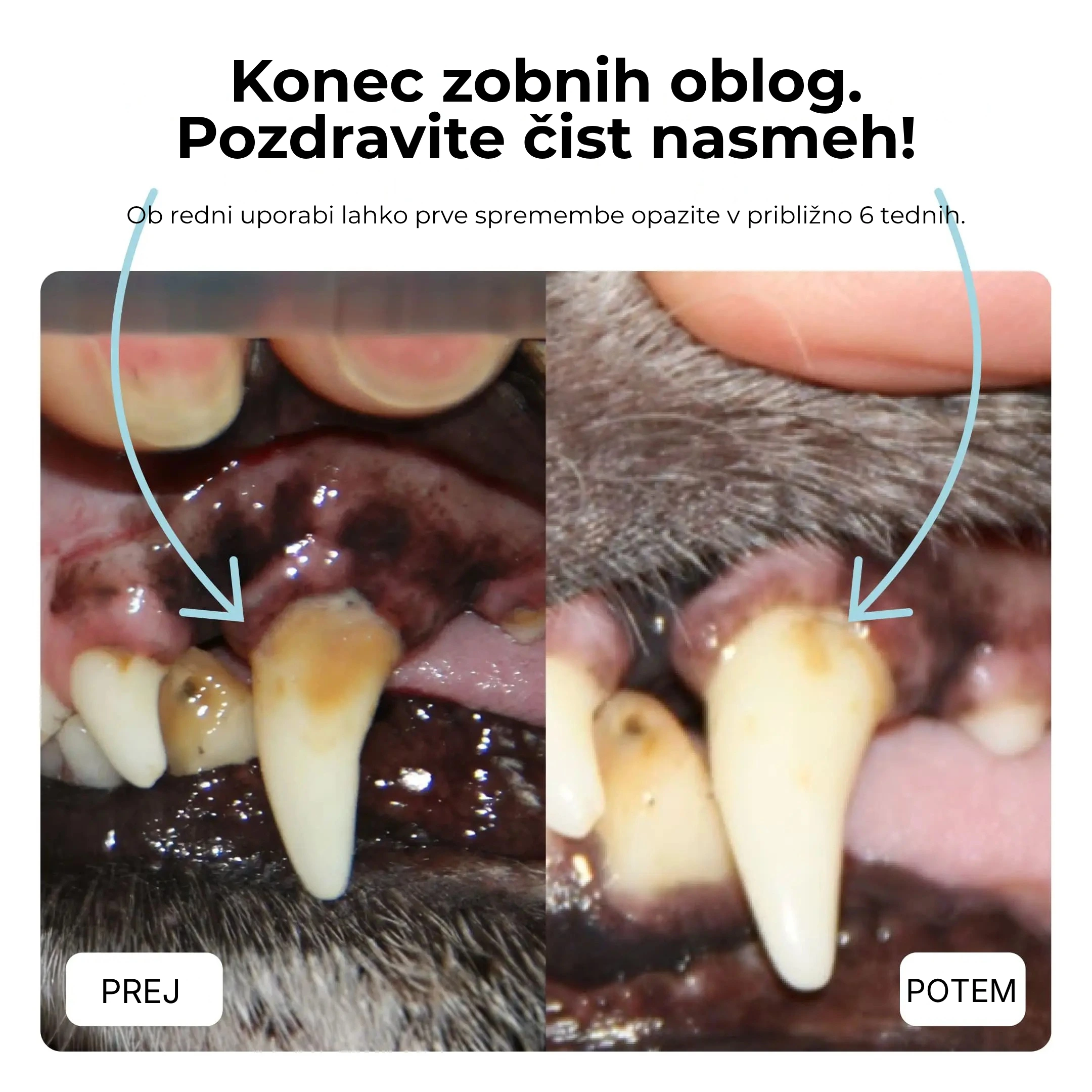 Tipaw Dental Care – za čiste zobe in svež zadah prej vs potem